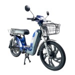 Factory direct sale of Yuying head, Bailingwang CG pedal, sports seat, LED taillight electric bike.